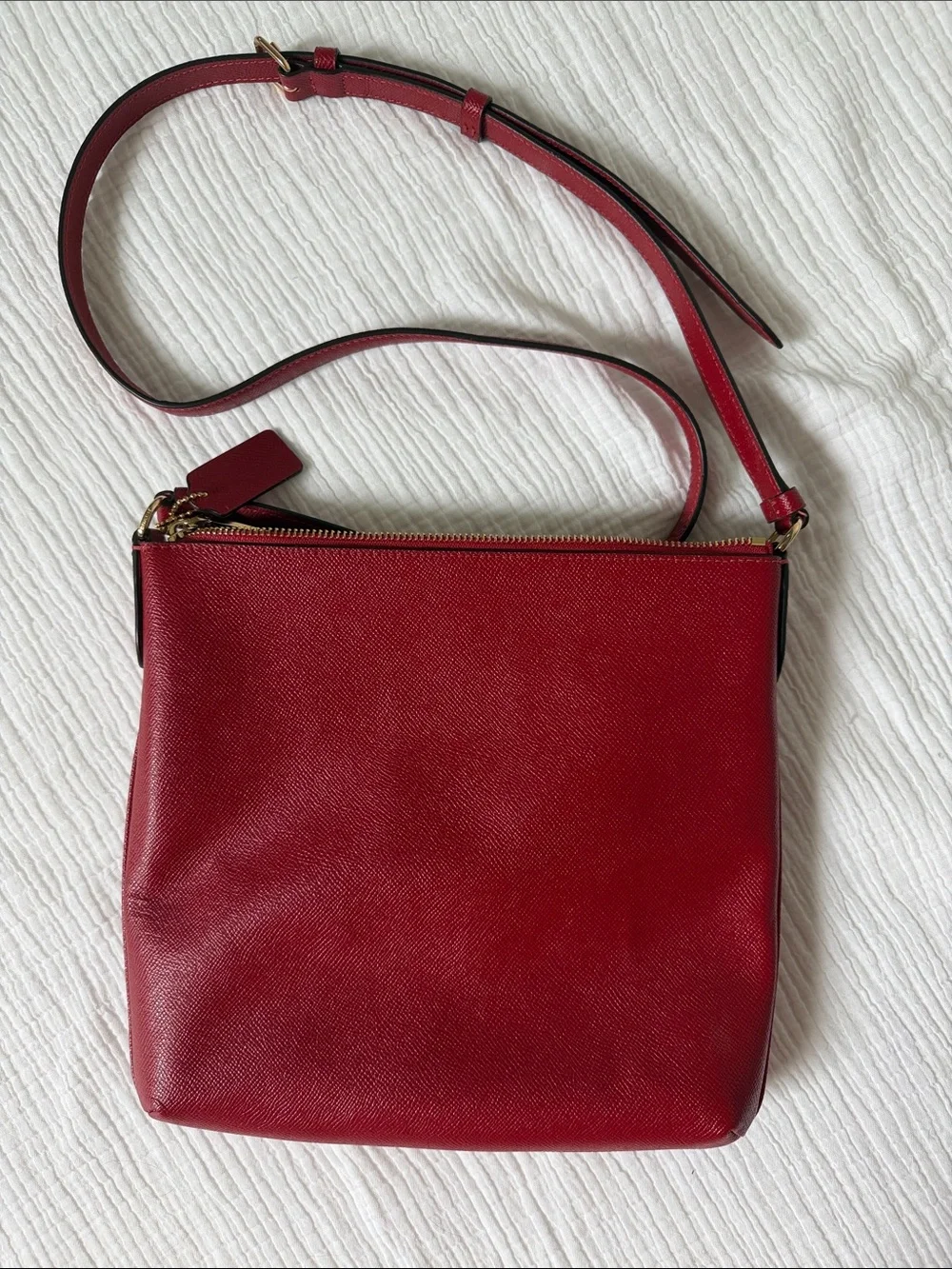 Coach Mini Rowan File in Crossgrain Leather with Gold Hardware